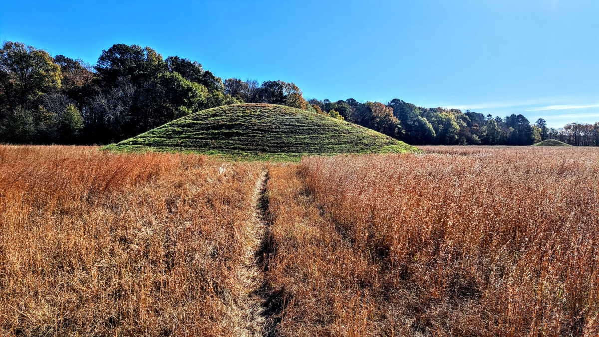 Click for full size image of Pharr Mounds (PID:283137) Pharr Mounds