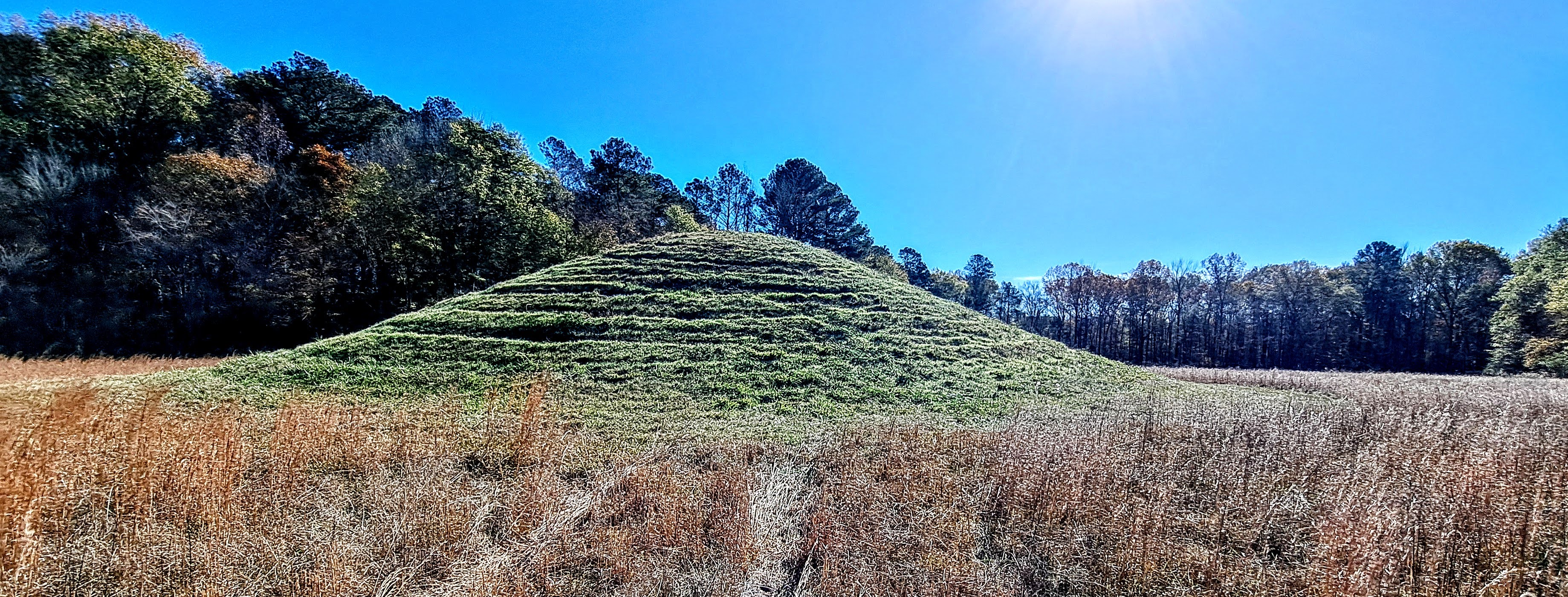Click for full size image of Pharr Mounds (PID:283140) Pharr Mounds