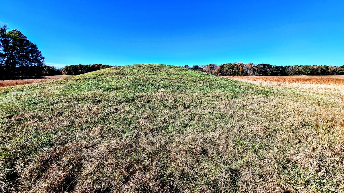Click for full size image of Pharr Mounds (PID:283141) Pharr Mounds