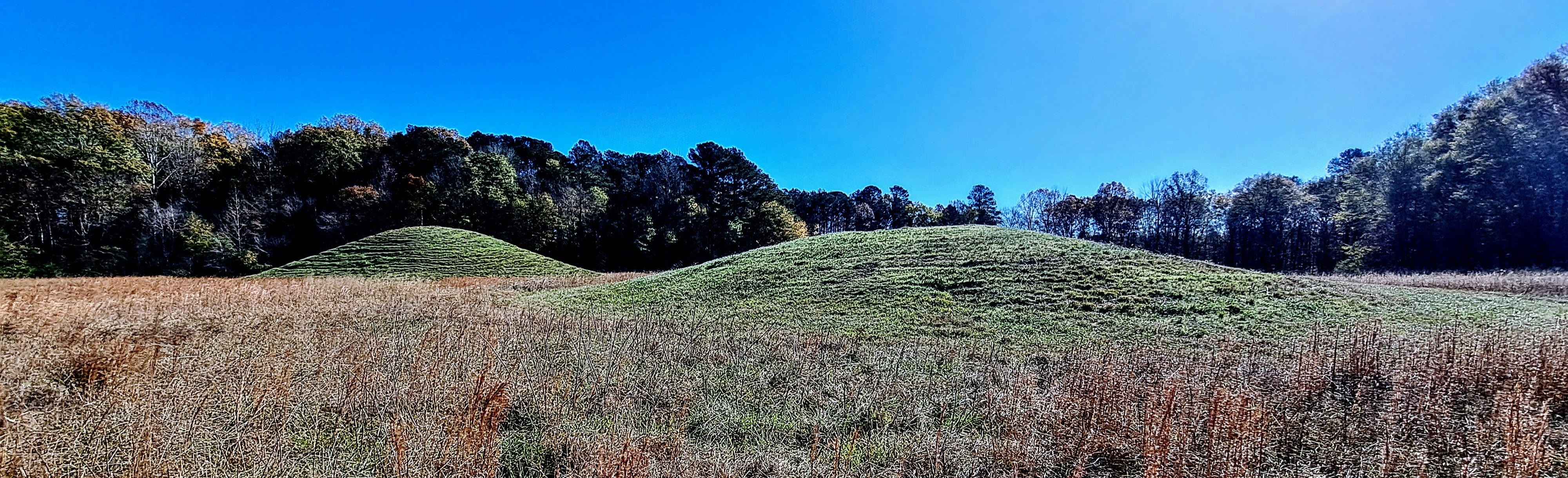 Click for full size image of Pharr Mounds (PID:283147) Pharr Mounds