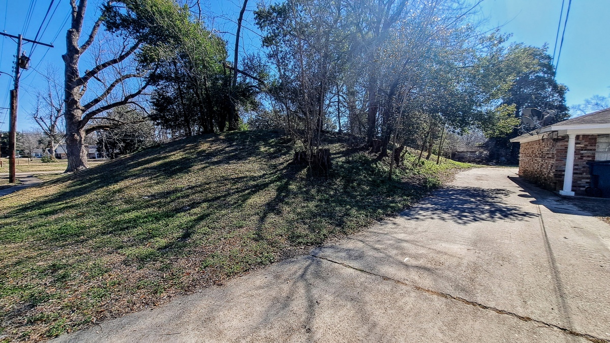 Click for full size image of La Salle Street Mound (PID:286711) La Salle Street Mound