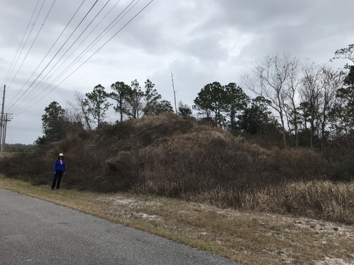 Gulf State Park Shell and Sand Mounds