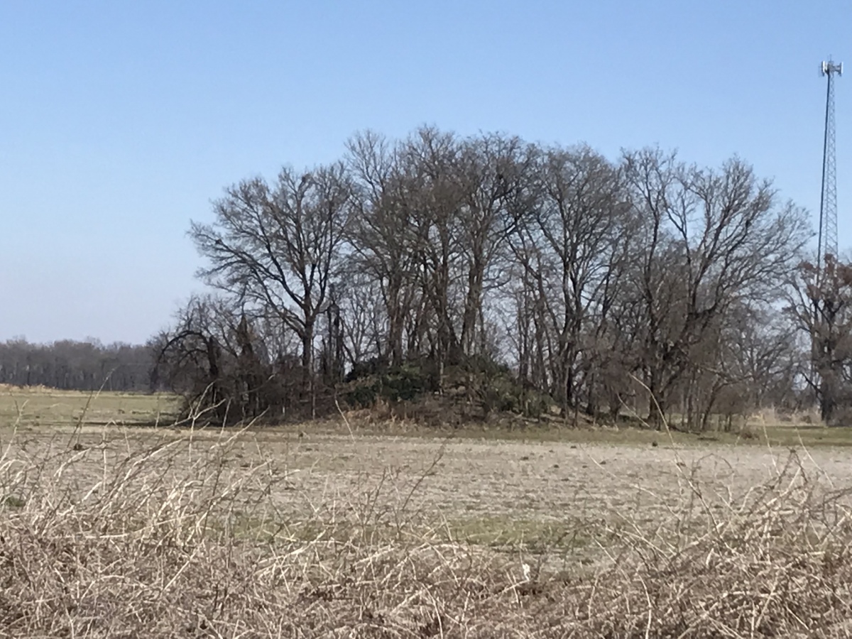 Christmas Mound