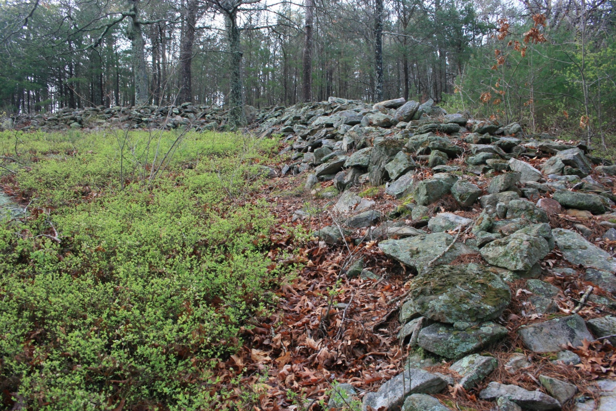 Fort Mountain Stone Enclosure