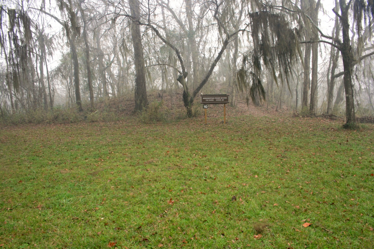 Mound at Fort Toulouse - Fort Jackson Park