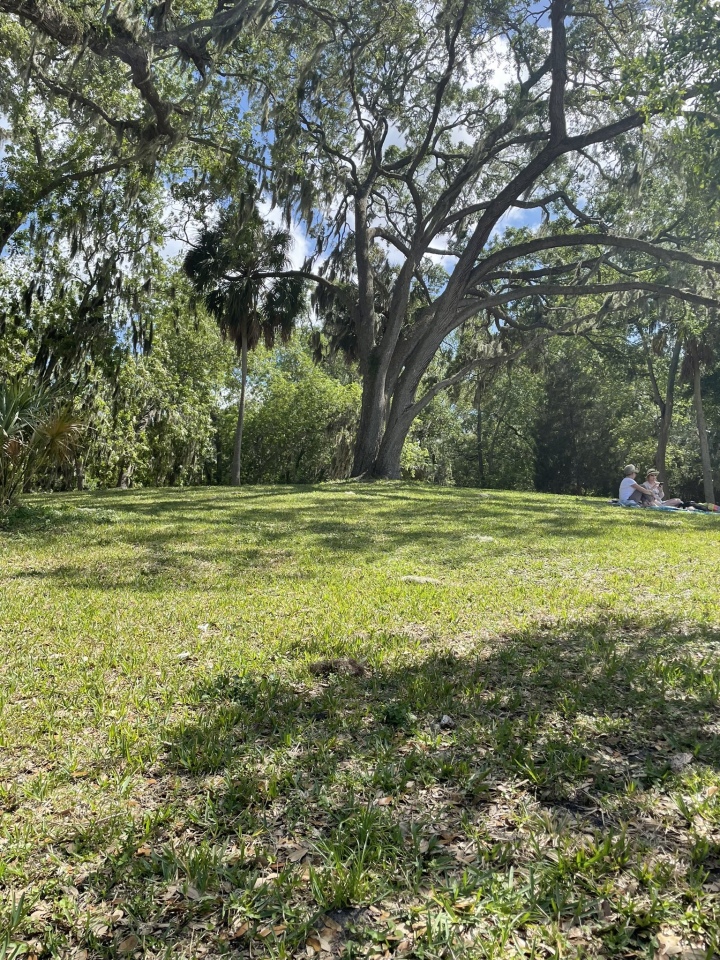 Safety Harbor Mound