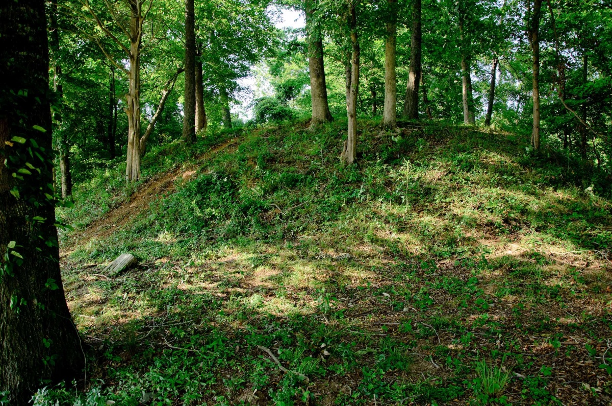 Hamilton Mounds