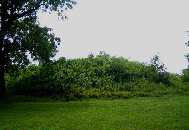 Fewkes Site, Tennessee.  Mound 1 was the largest of the four platform mounds.  Photo by bat400, July 2007.