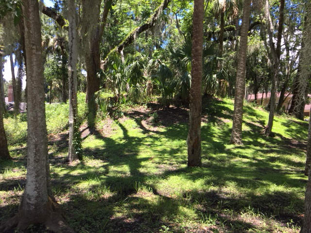 Indian Mound Village Site