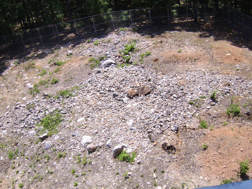 Rock Hawk Effigy Mound