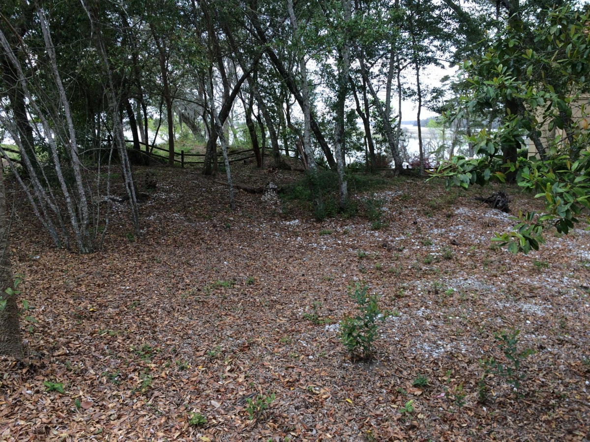 Fuller Shell Mound Site