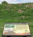 Pinson Mounds - Ozier Mound