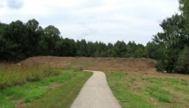 Pinson Mounds - Mound 28