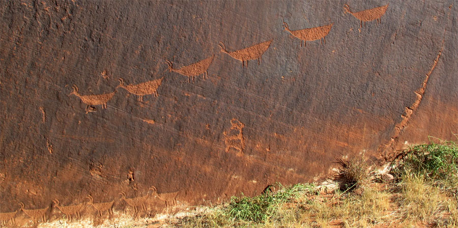Glen Canyon - Descending Sheep Panel Petroglyph Site