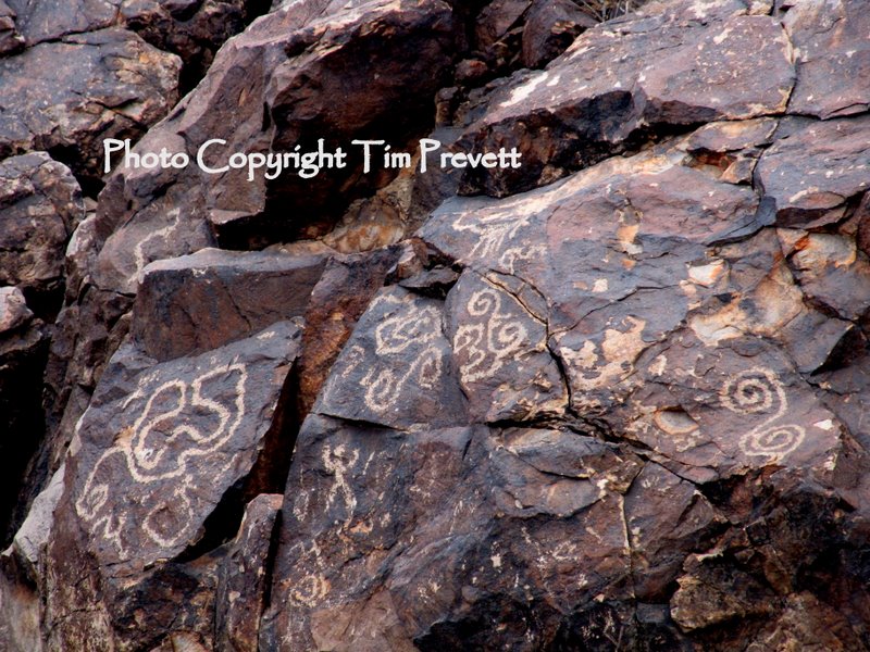 Hayden Butte (pronounced bute) has a lot of petroglyphs when you know where to look. All the glyphs are on sides of the mountain facing the sun (ie. south and east - as it seems is the case with most sites).
Most are recessed off the paths and are inaccesible due to wildlife and heritage preservation but can be viewed adequately from the paths, and with assistance (ie camera zoom, binoculars).
I