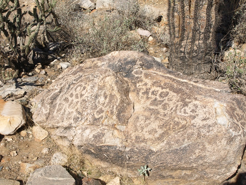 Click for full size image of White Tank Mountains Petroglyphs (PID:192142) White Tank Mountains Petroglyphs