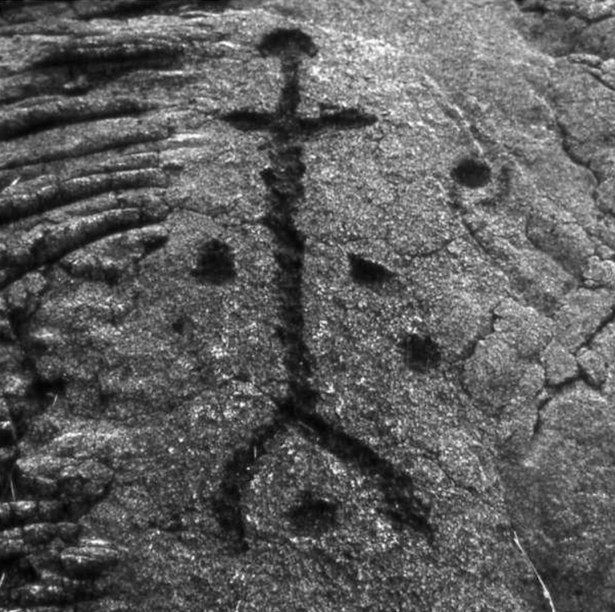 Pu'u Loa Petroglyphs (PID:235357) Pu'u Loa Petroglyphs