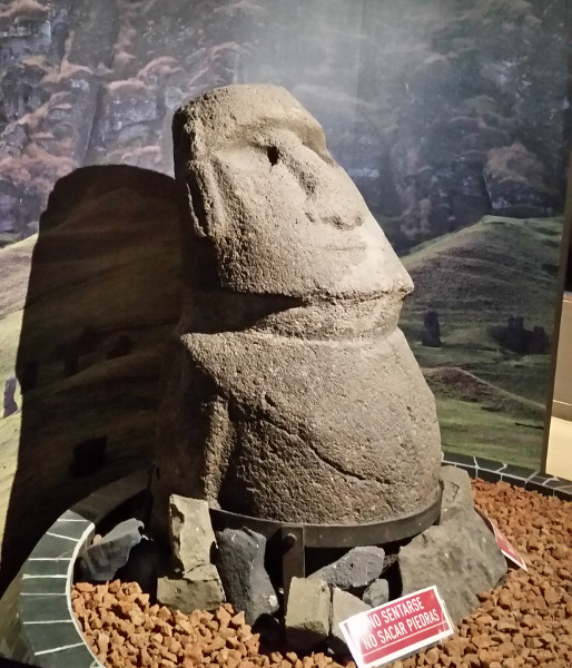 Click for full size image of Museo Nacional de Historia Natural, MNHN (PID:200961) Museo Nacional de Historia Natural, MNHN