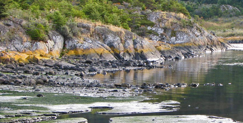 Site in  Chile
Close-up of Yaghan prehistoric stone fishtrap at Wulaia Bay. Tide is not yet at lowest stage so that only part of the stonework is exposed above the waterline.  Note that part of the low stone wall extends to image left above the present water surface onto the shoreline rock shelf.
