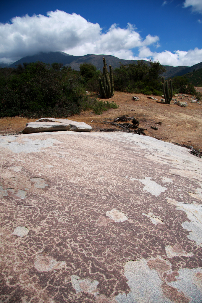 Los petroglifos Tilama (PID:131400) Los petroglifos Tilama