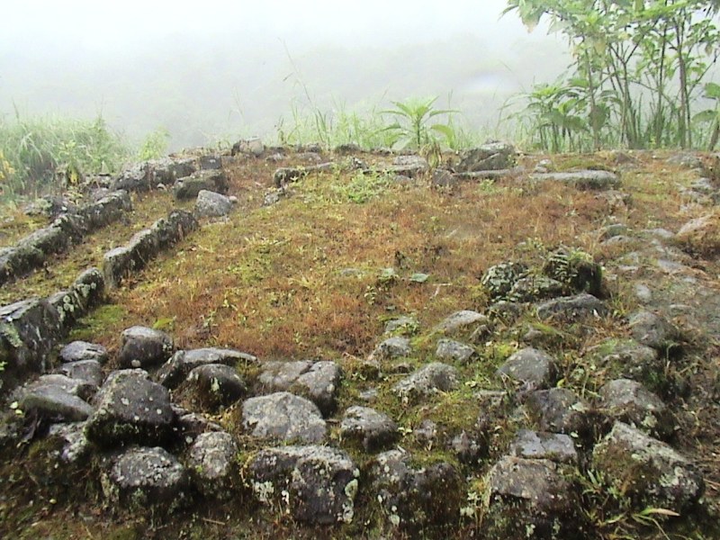 Click for full size image of Malqui-Machay (PID:87042) Malqui-Machay
