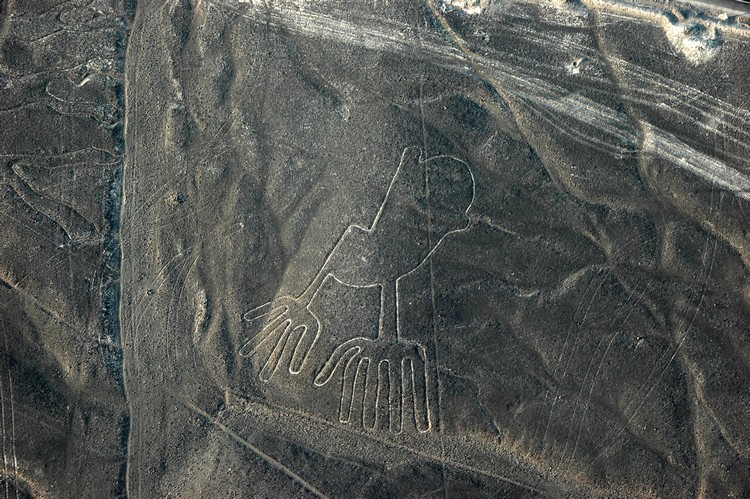 Nazca Lines - Hands and Tree