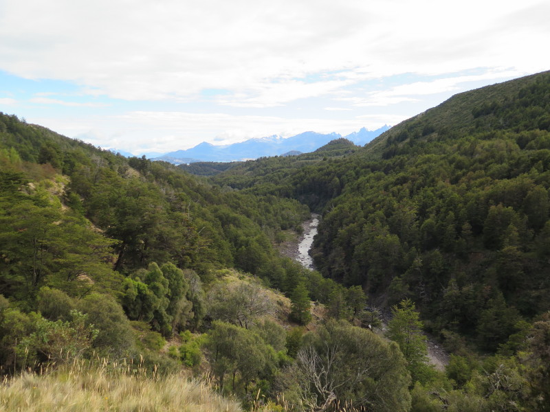 Sendero Los Fosiles