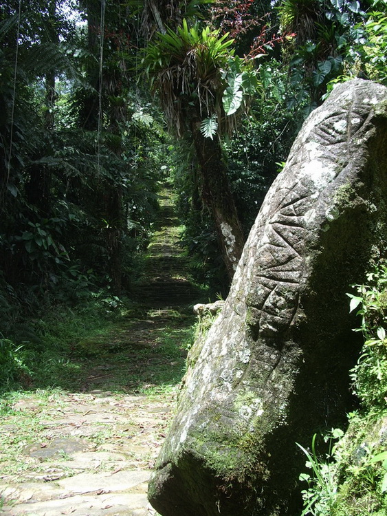 Click for full size image of Ciudad Perdida (PID:89204) Ciudad Perdida