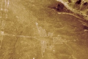 Nazca Lines - Hummingbird