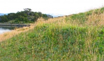 Bahia Wulaia Dome Middens