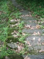 Click for full size image of Ciudad Perdida (PID:89200) Ciudad Perdida