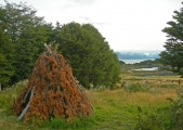 Bahia Wulaia Dome Middens