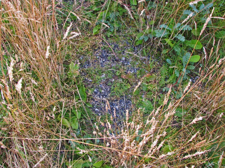 Site in Chile

Close-up of exposed shell midden material in its natural state.  The state of preservation of this midden is remarkable, having originated approximately 10,000 years ago with habitation continuing well into the 19th century AD. Note the light coloration of shell material contrasted with the unnaturally dark soil which has been infused with charcoal from prehistoric hearth fires.