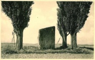 Click for full size image of Brunehault (PID:120248) Brunehault