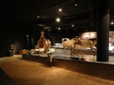 Click for full size image of Gallo-Romeins Museum (PID:168963) Gallo-Romeins Museum