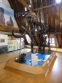 Click for full size image of Vleeshuismuseum (PID:198535) Vleeshuismuseum