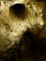 Click for full size image of Silex's (PID:132822) Silex's