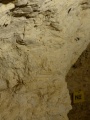 Click for full size image of Silex's (PID:132824) Silex's