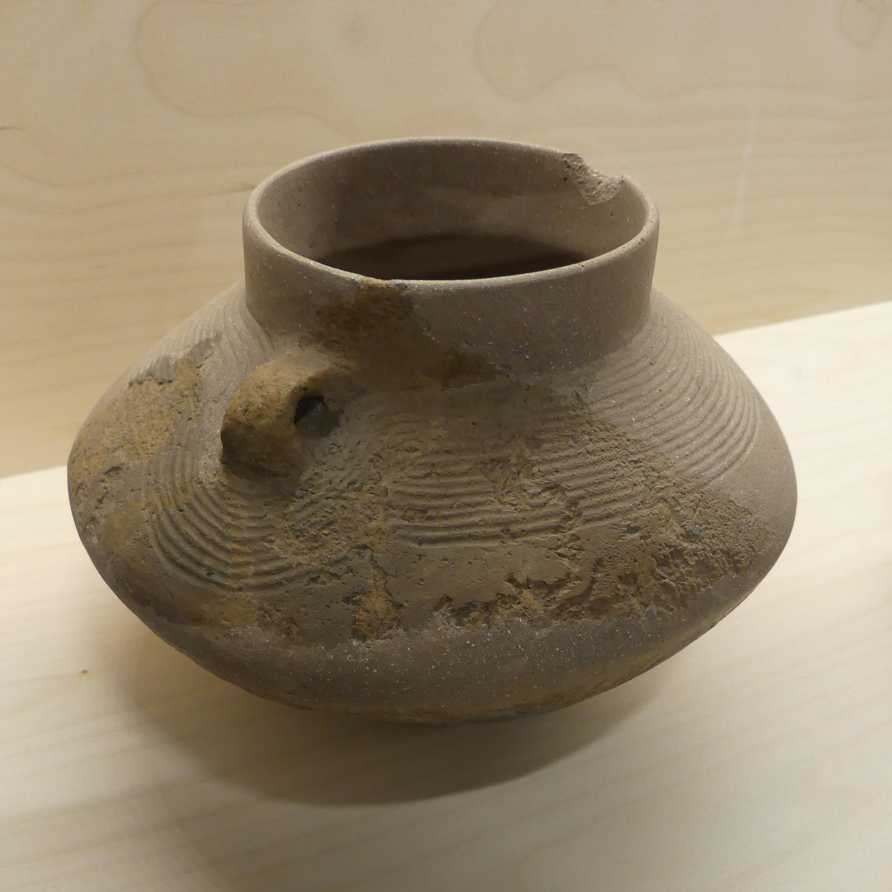 Provincial Archeological Museum (PID:195803) Provincial Archeological Museum