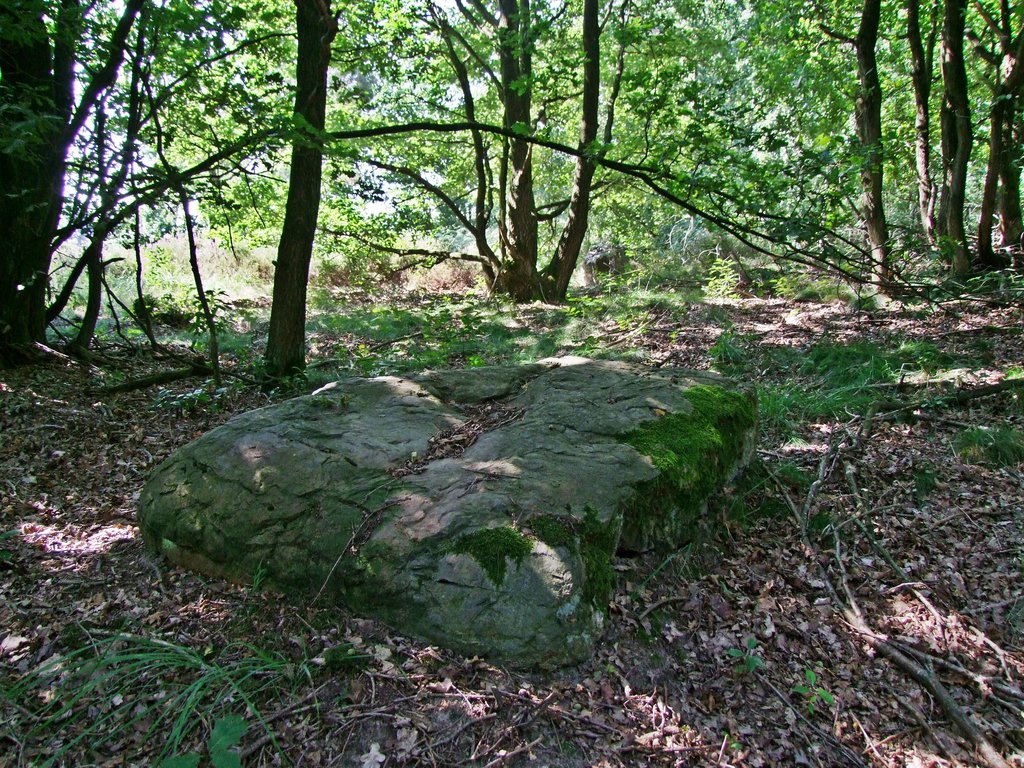 Stenen op de Mechelse Heide