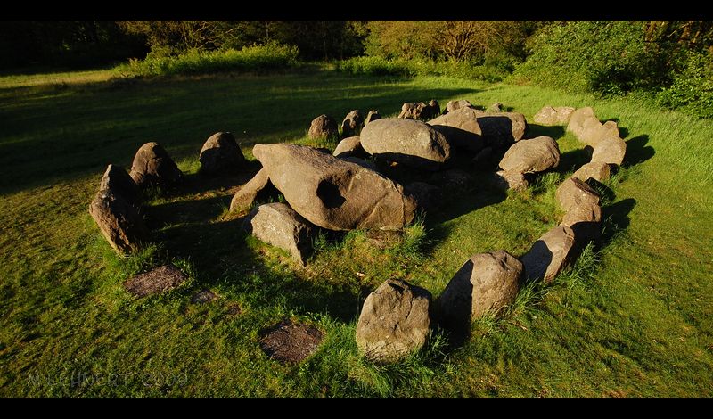Click for full size image of D20 Drouwen (PID:55619) D20 Drouwen