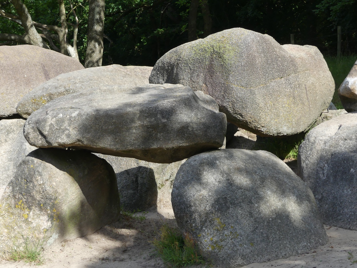 Click for full size image of D1 Steenbergen (PID:244345) D1 Steenbergen