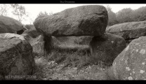 Click for full size image of D20 Drouwen (PID:48354) D20 Drouwen