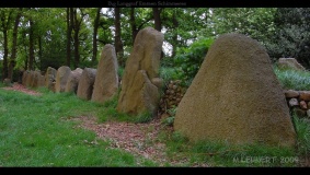 D43 Emmen Schimmeres - PID:47144