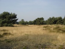 Boshoverheide Grafheuvels - PID:22384