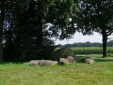 Click for full size image of D2 Westervelde (PID:168163) D2 Westervelde