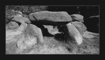 Click for full size image of D1 Steenbergen (PID:86091) D1 Steenbergen