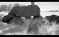 Click for full size image of D2 Westervelde (PID:49538) D2 Westervelde