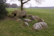 Click for full size image of D2 Westervelde (PID:180431) D2 Westervelde