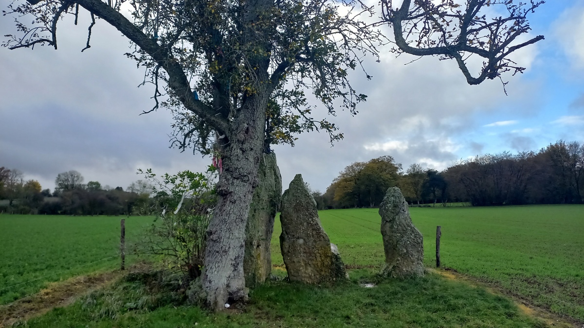 Menhirs d'Oppagne